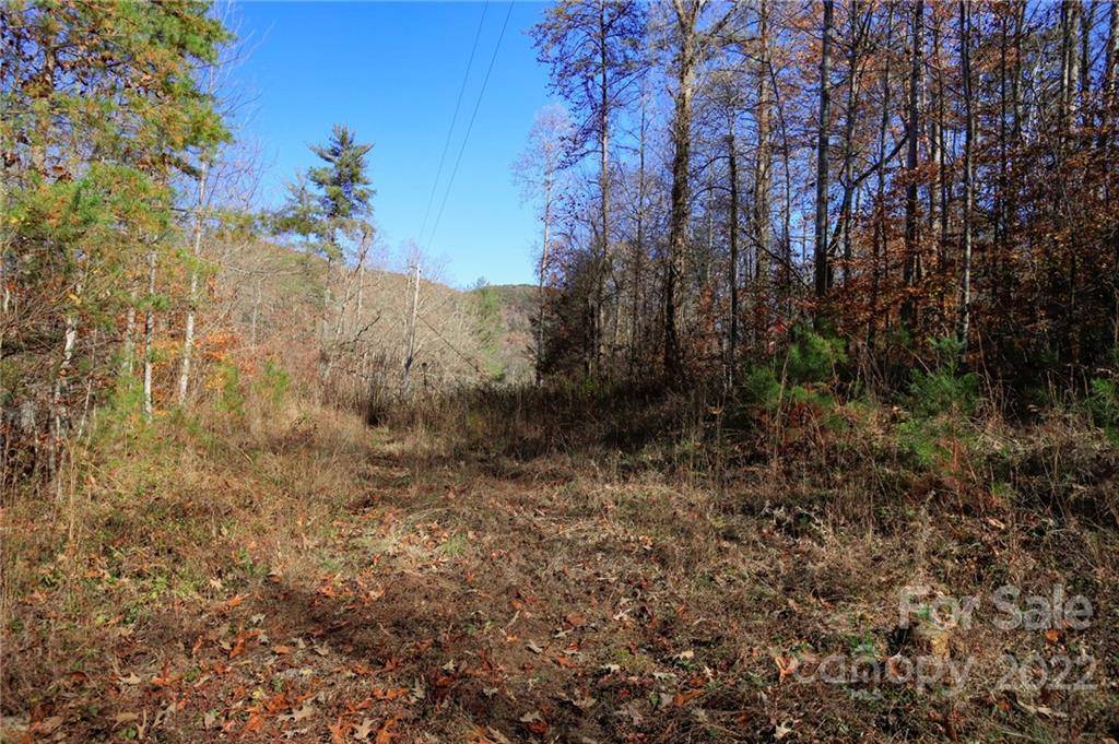 Lake Lure, NC 28746,Lot 74 Buffalo Creek RD #74