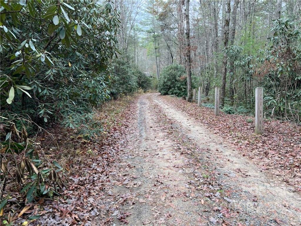 Cedar Mountain, NC 28718,Lot 41 Stones Lake RD