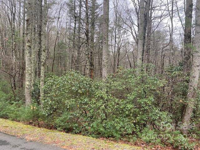 Brevard, NC 28712,TBD Salola LN #U04-L033