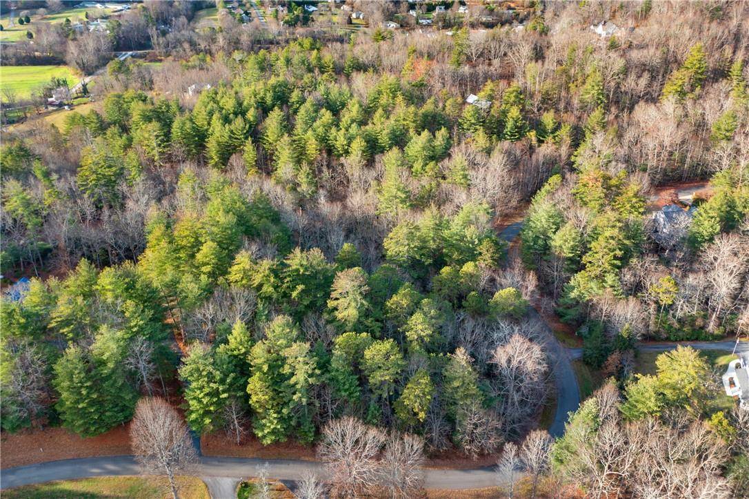 Fairview, NC 28730,Lot #8 Alexander Crest DR