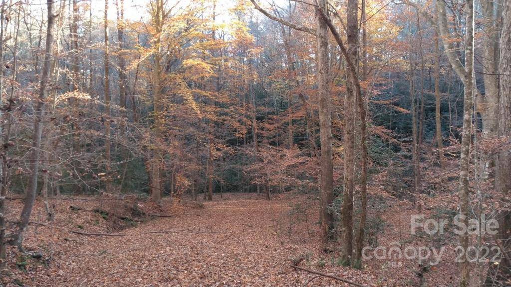 Marion, NC 28752,99999 Half Timber DR