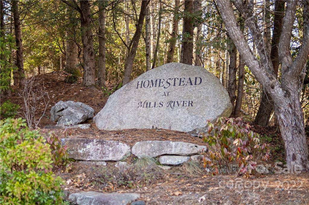 Horse Shoe, NC 28742,68 Woodhen WAY #140