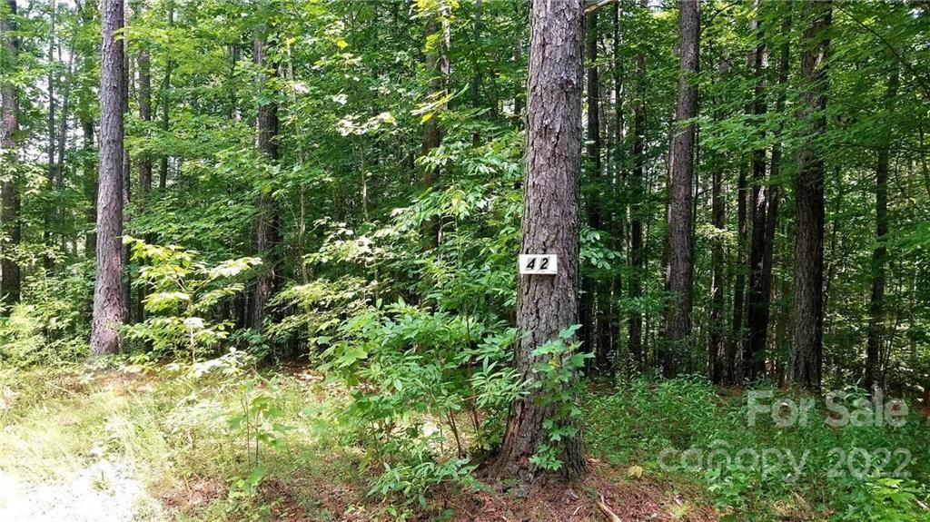 Nebo, NC 28761,Lot #42 Shoal Creek TRL