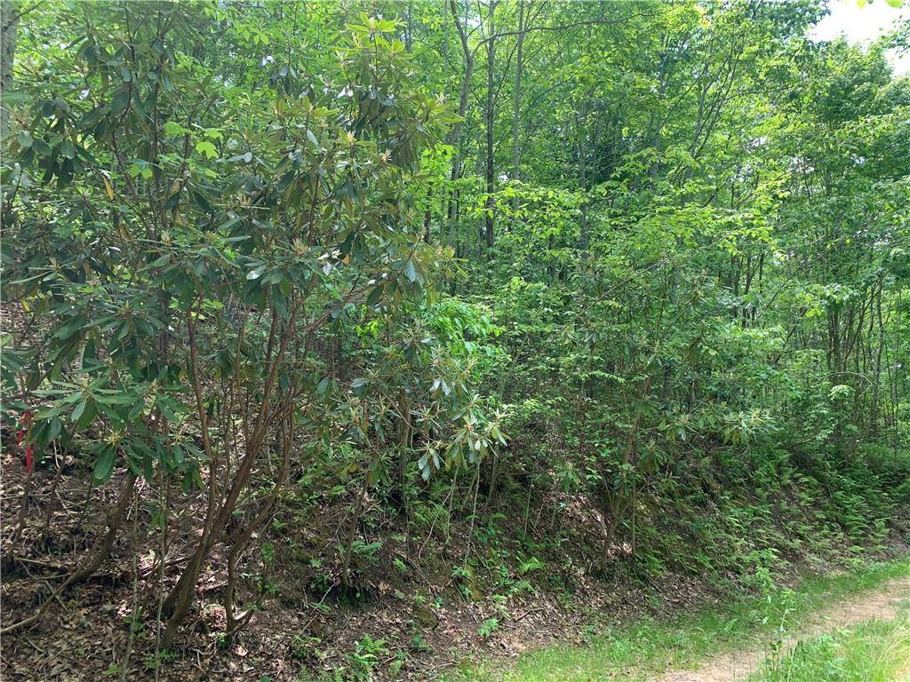 Bryson City, NC 28713,Lot 18 Racoon Cove RD #18