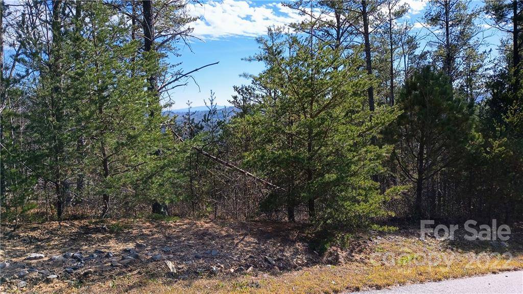 Lenoir, NC 28645,3 acres Tomahawk Ridge DR #45/46