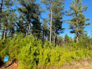 Granite Falls, NC 28630,89 Scenic LN #89