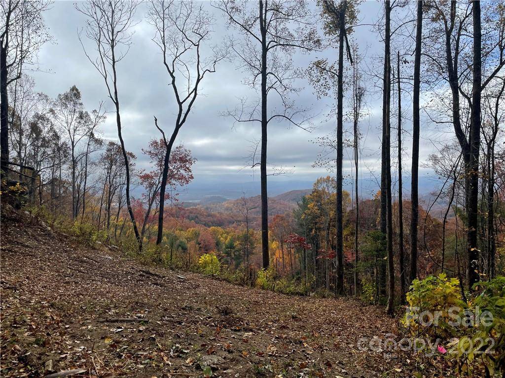 Hendersonville, NC 28792,0000 New Sprout LN #Lot 3