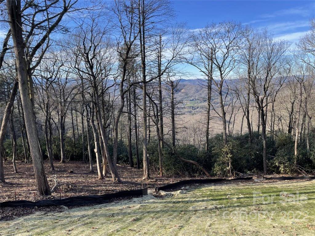 Hendersonville, NC 28792,0000 East Garden TRL #Lot 13