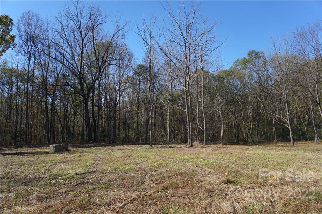 Clover, SC 29710,10.64 AC Burree RD