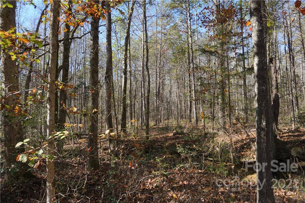 Clover, SC 29710,10.64 AC Burree RD #6