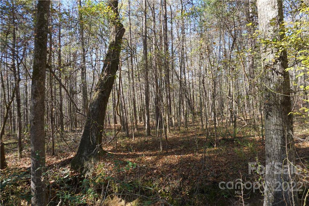 Clover, SC 29710,10.64 AC Burree RD #6