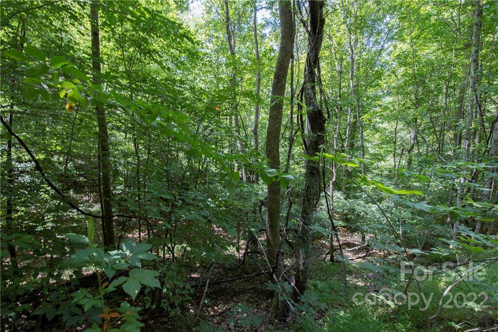 Spruce Pine, NC 28777,TBD Rabbit Hop RD #17