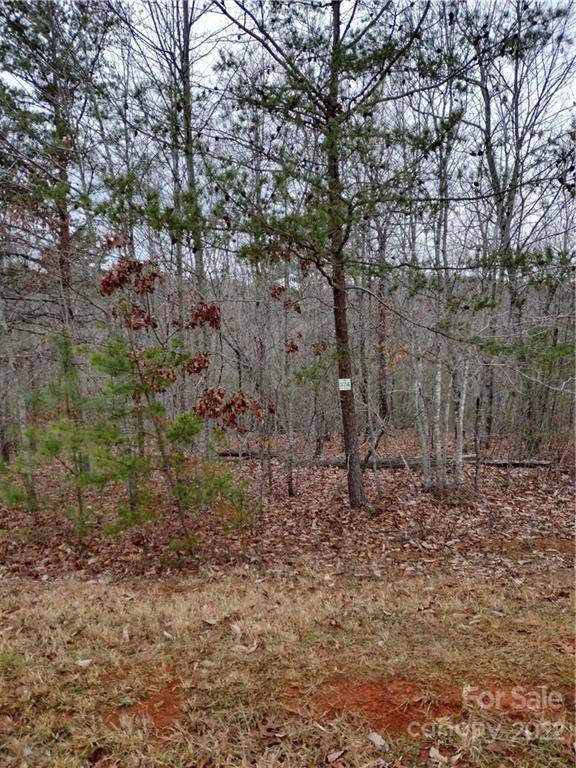 Nebo, NC 28761,Lot #374 Mountain Vista DR