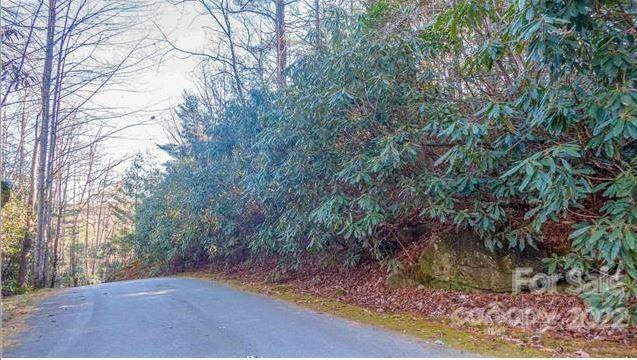 Lake Toxaway, NC 28747,TBD Toxaway Falls DR #12C