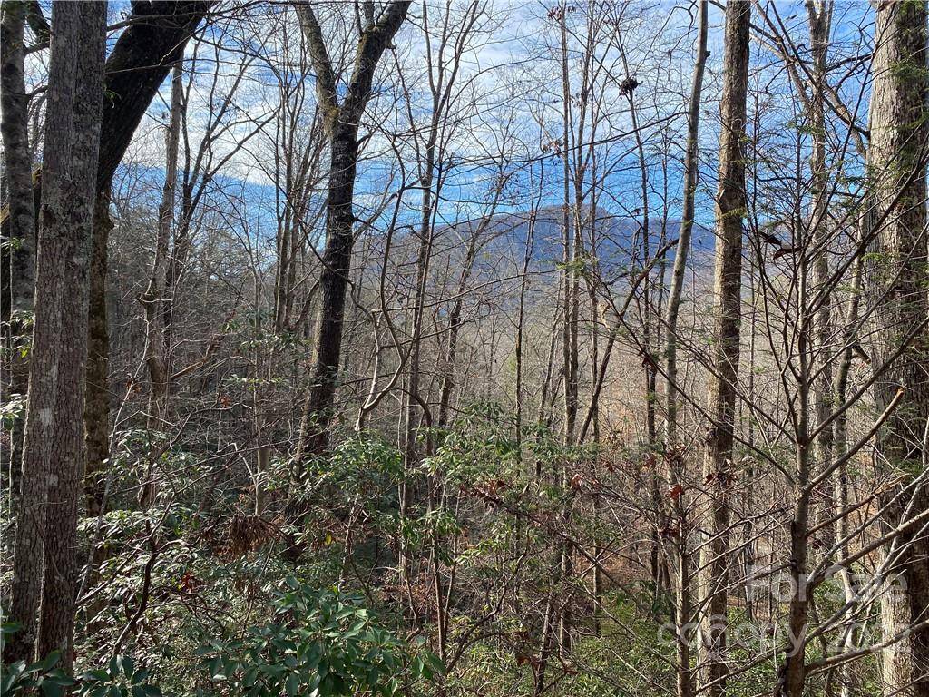 Lake Lure, NC 28746,Lot 30 Chalet RD