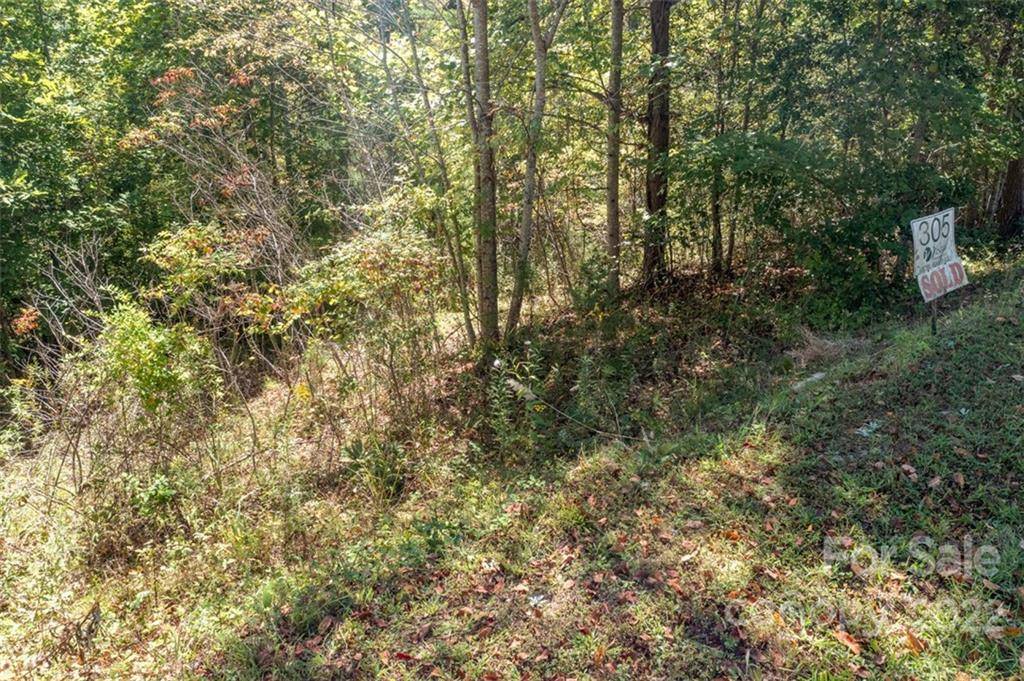 Lake Lure, NC 28746,00 Rock Ledge DR #305