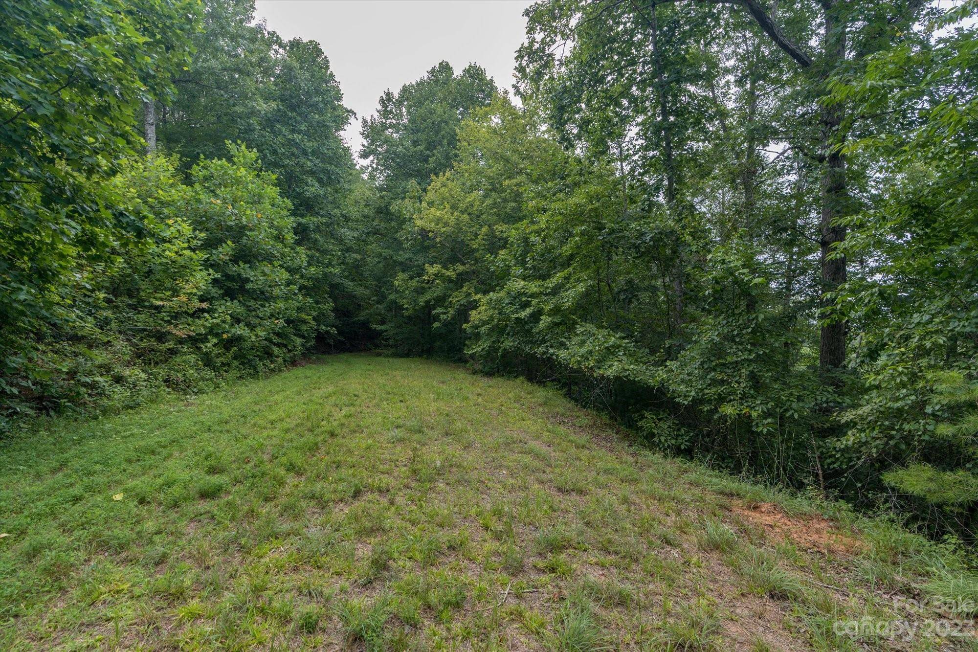 Lake Lure, NC 28746,Lot 12 Rainbow CIR #Lot 12