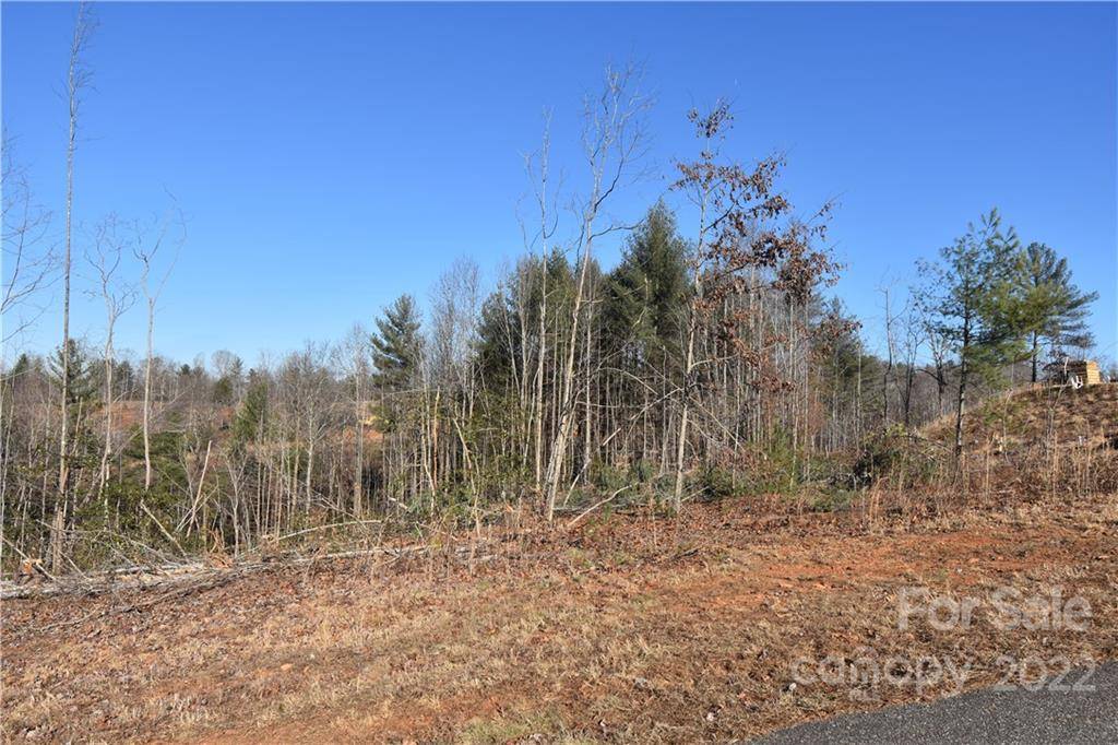 Lenoir, NC 28645,2458 Kite DR #161