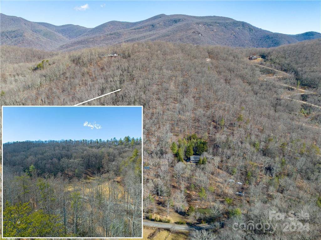 Swannanoa, NC 28778,TBD Long Branch RD