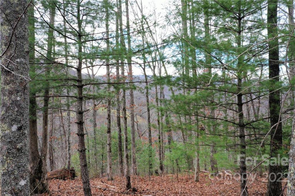 Cullowhee, NC 28723,Lot 10 B Cedar Cliff RD