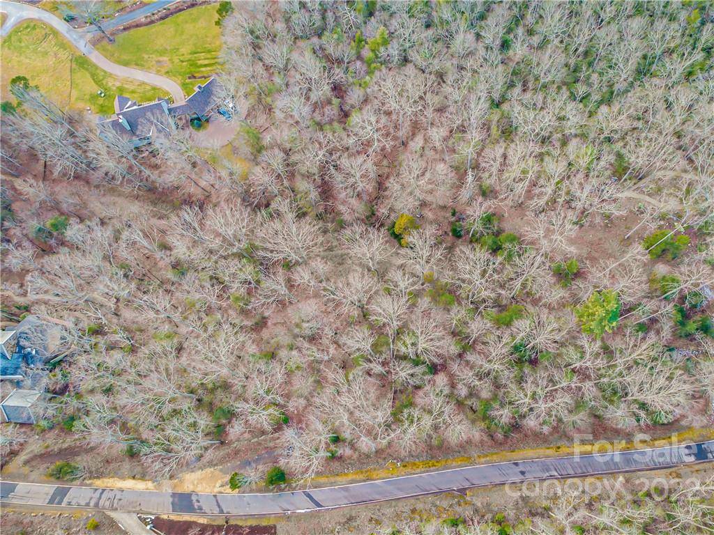 Arden, NC 28704,8 Wood Lily TRL #14