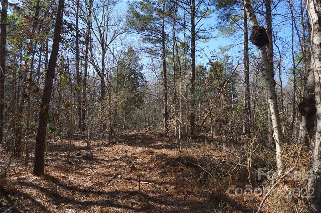 Edgemoor, SC 29712,12.5 AC Simpson RD