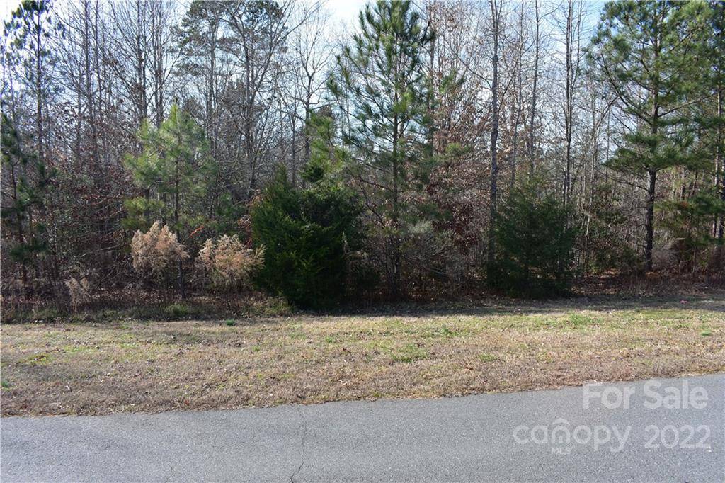 Rock Hill, SC 29730,1618 Restless One LN