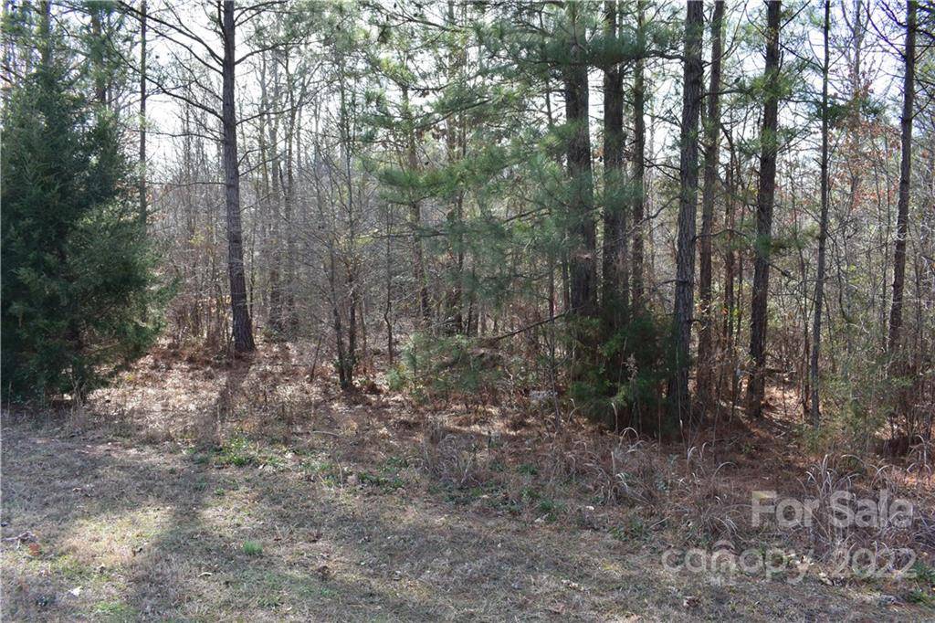 Rock Hill, SC 29730,1618 Restless One LN