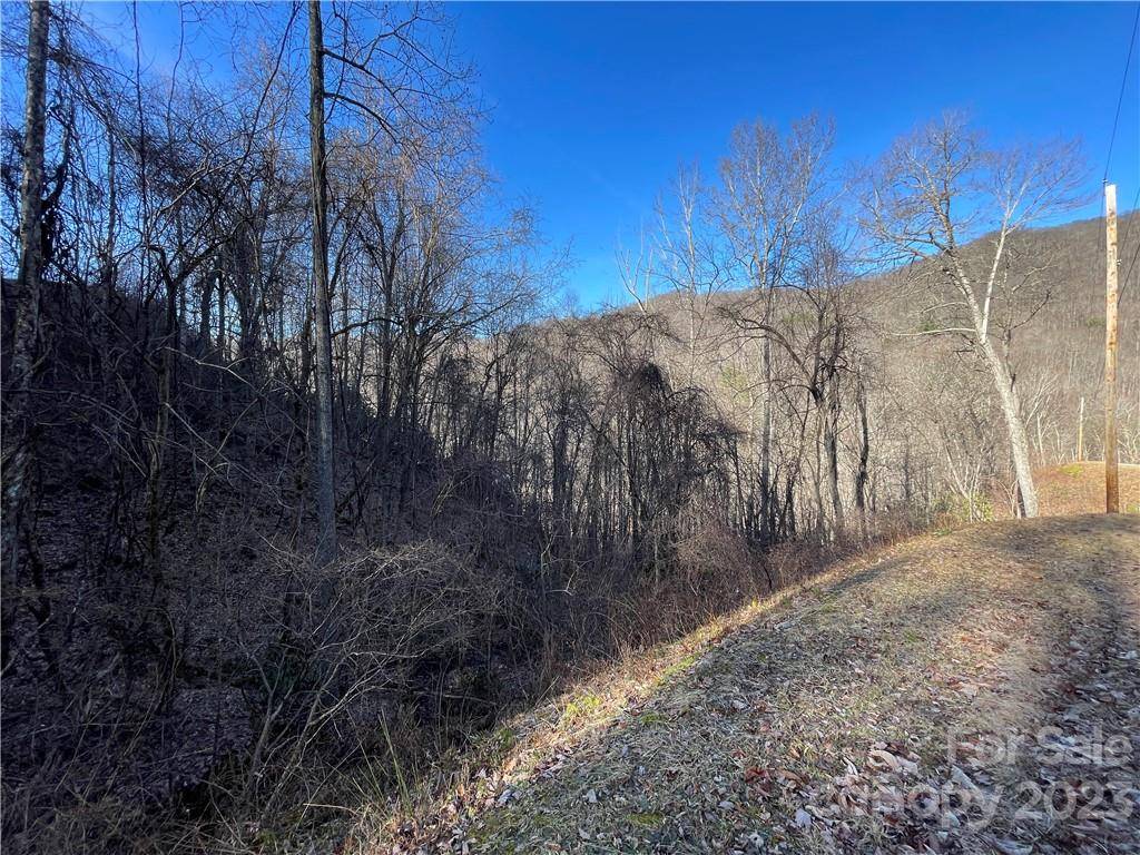 Bryson City, NC 28713,Lot 38 Brush Creek Mountain RD #38