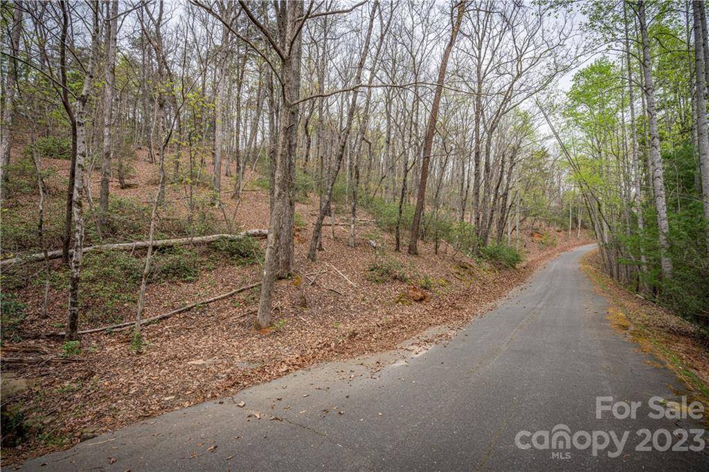 Lake Lure, NC 28746,0 Watership RD