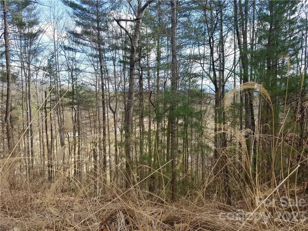 Marshall, NC 28753,lot 18 Scarlett Ridge DR