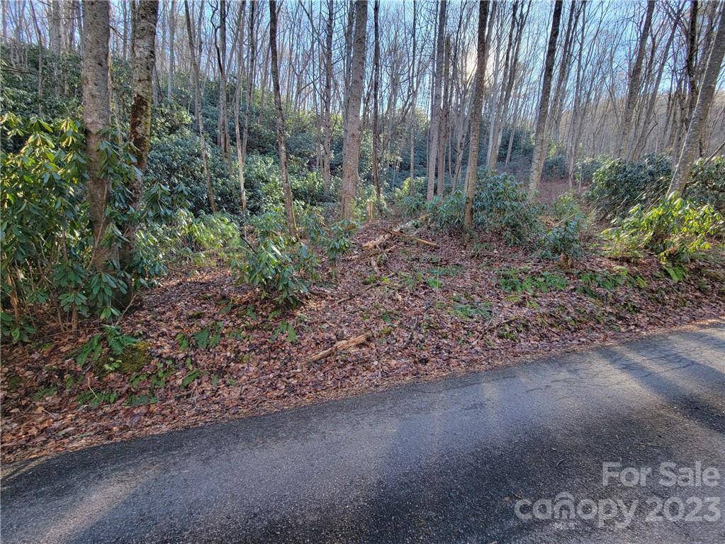 Waynesville, NC 28785,717 Coyote Hollow RD #66