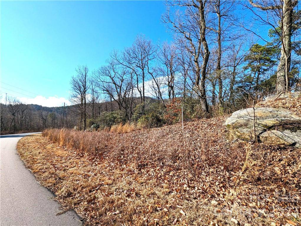 Lake Lure, NC 28746,283 Grey Rock Pkwy