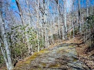 Waynesville, NC 28785,Lot 35 Wakulla WAY