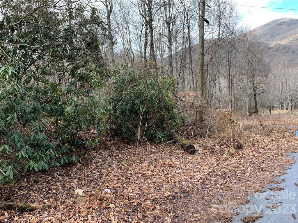 Maggie Valley, NC 28751,000 Holland DR