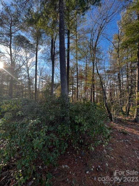 Nebo, NC 28761,285 Beacon Ridge DR