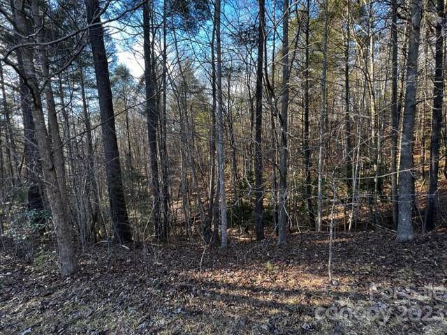 Nebo, NC 28761,TBD High Trail DR #36-11