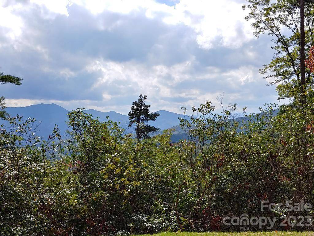 Bryson City, NC 28713,Lot 42 The Knoll None