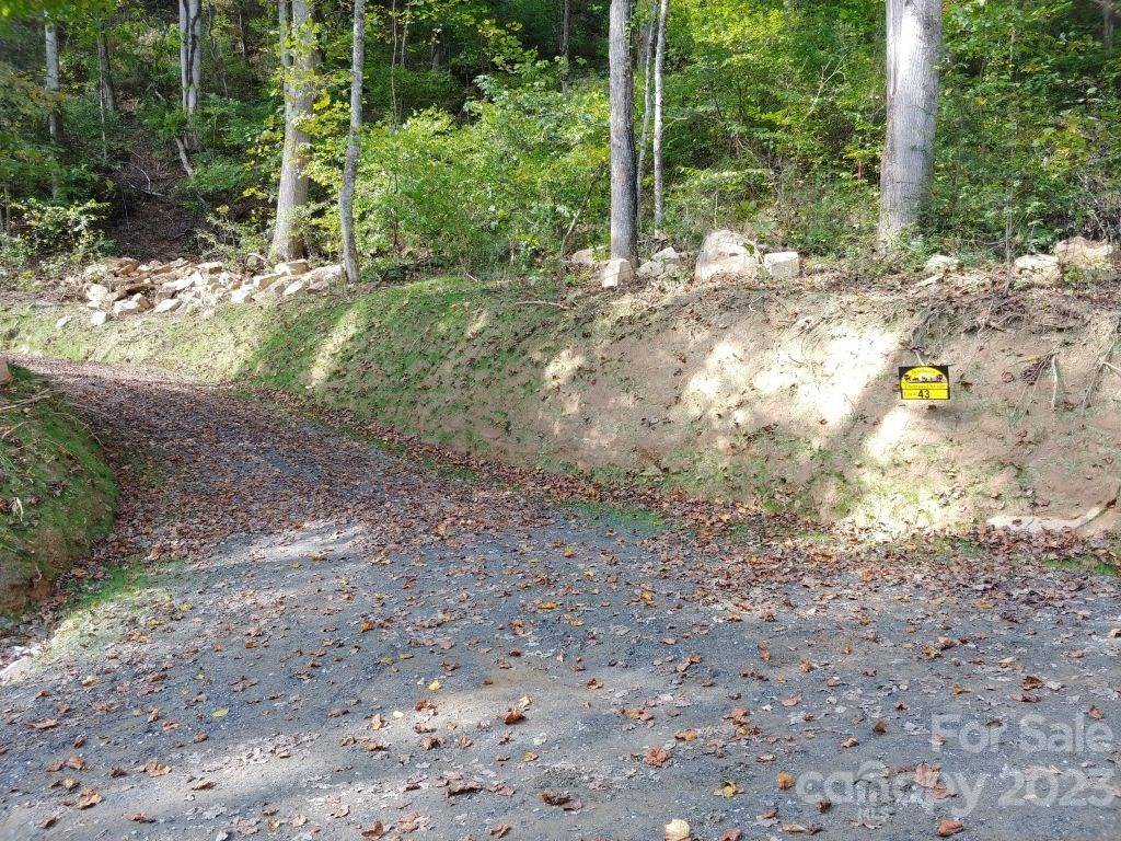 Bryson City, NC 28713,Lot 43 Thomas Divide WAY