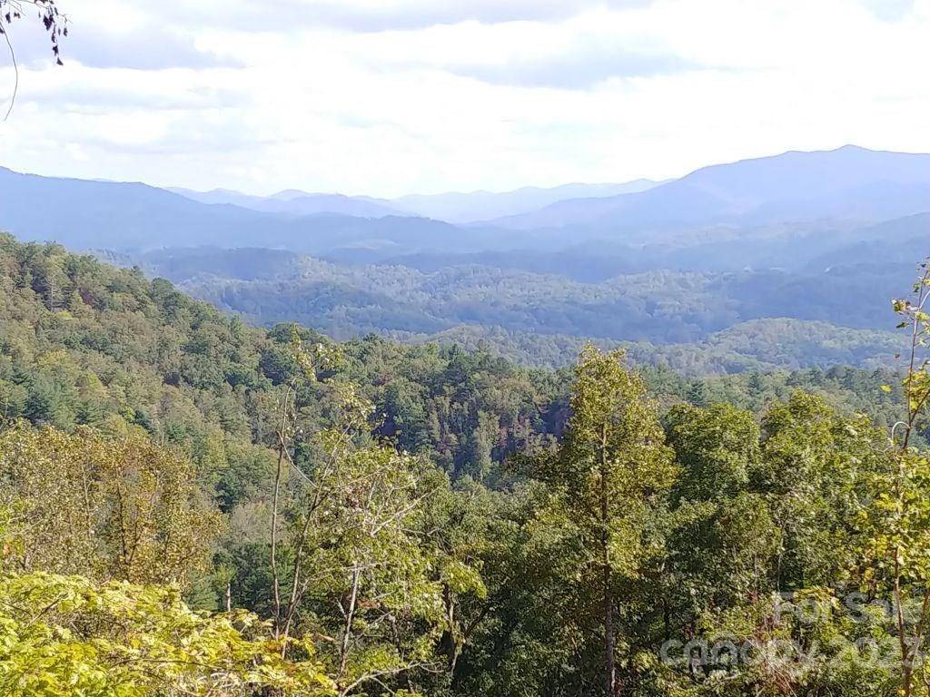 Bryson City, NC 28713,Lot 45 Thomas Divide WAY