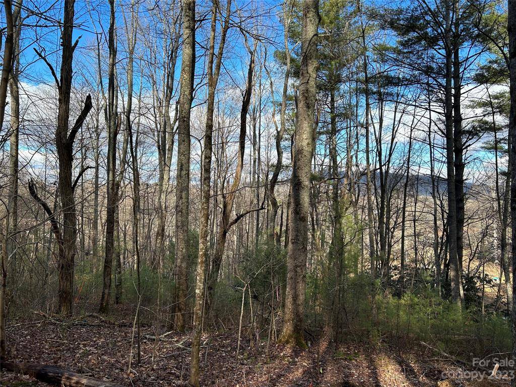 Fletcher, NC 28732,0000 Hilltop View DR #4