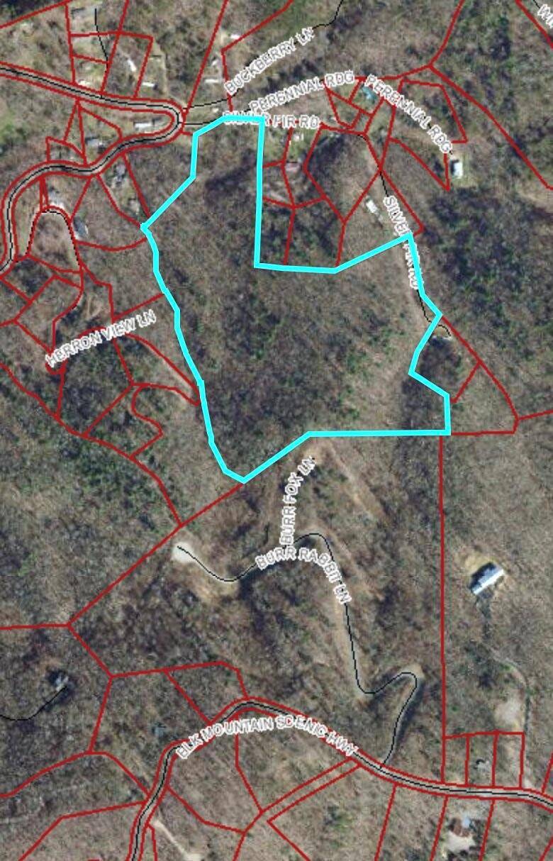Weaverville, NC 28787,15 Silver Fir RD