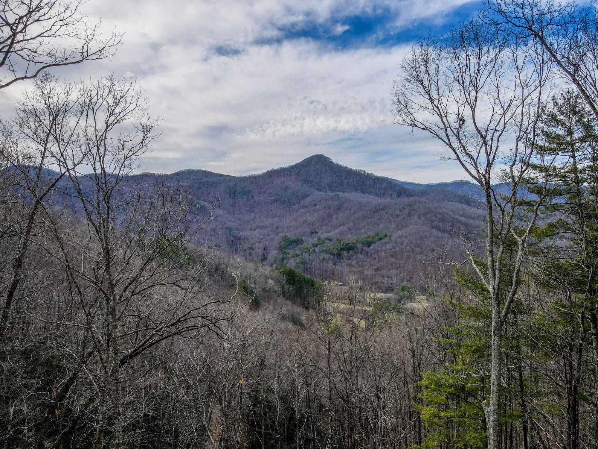 Cullowhee, NC 28723,536 Kalmia RDG