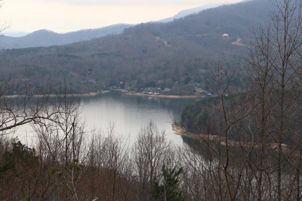 Lake Lure, NC 28746,0000 Hawks Nest TRL ##25