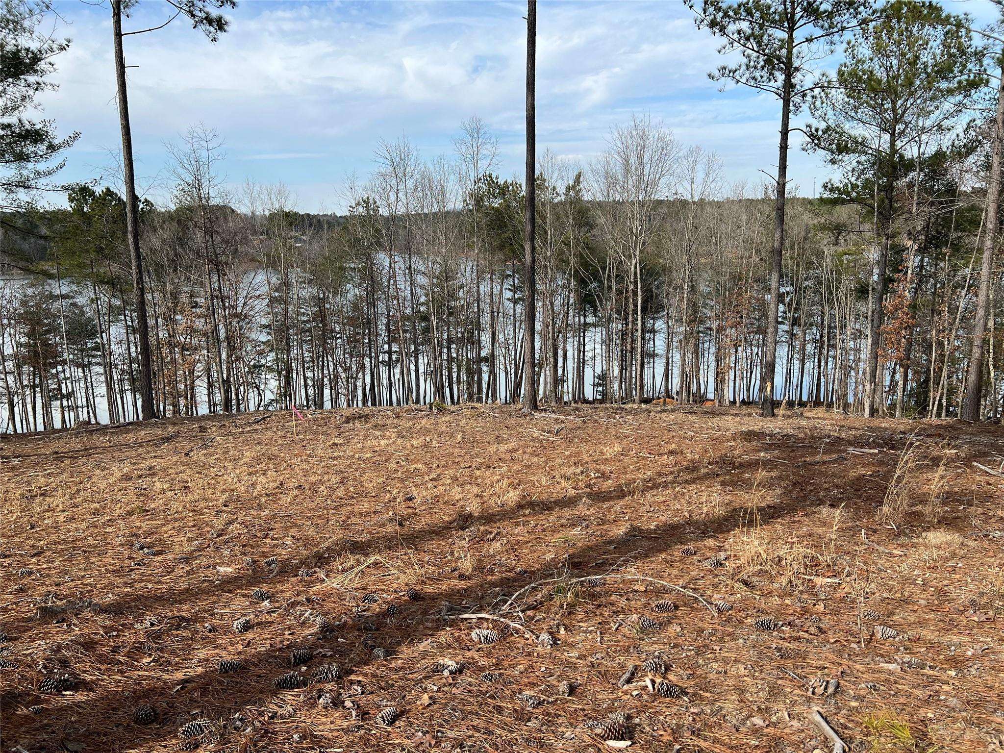 Connelly Springs, NC 28612,Lot 137 Decker RD