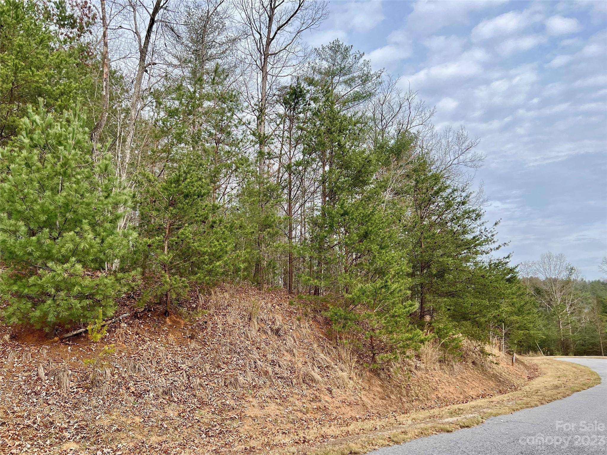 Lenoir, NC 28645,1.99 acres Lot 21 Walnut RDG #Lot 21