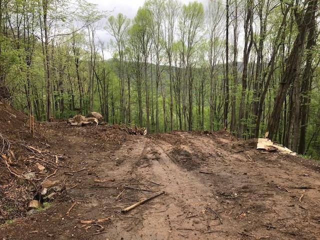 Waynesville, NC 28785,976 Slippery Rock RD