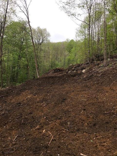 Waynesville, NC 28785,976 Slippery Rock RD