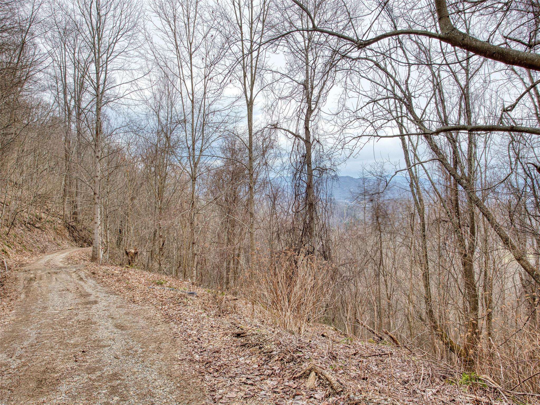 Waynesville, NC 28786,Lot 11 Lothlorian RD