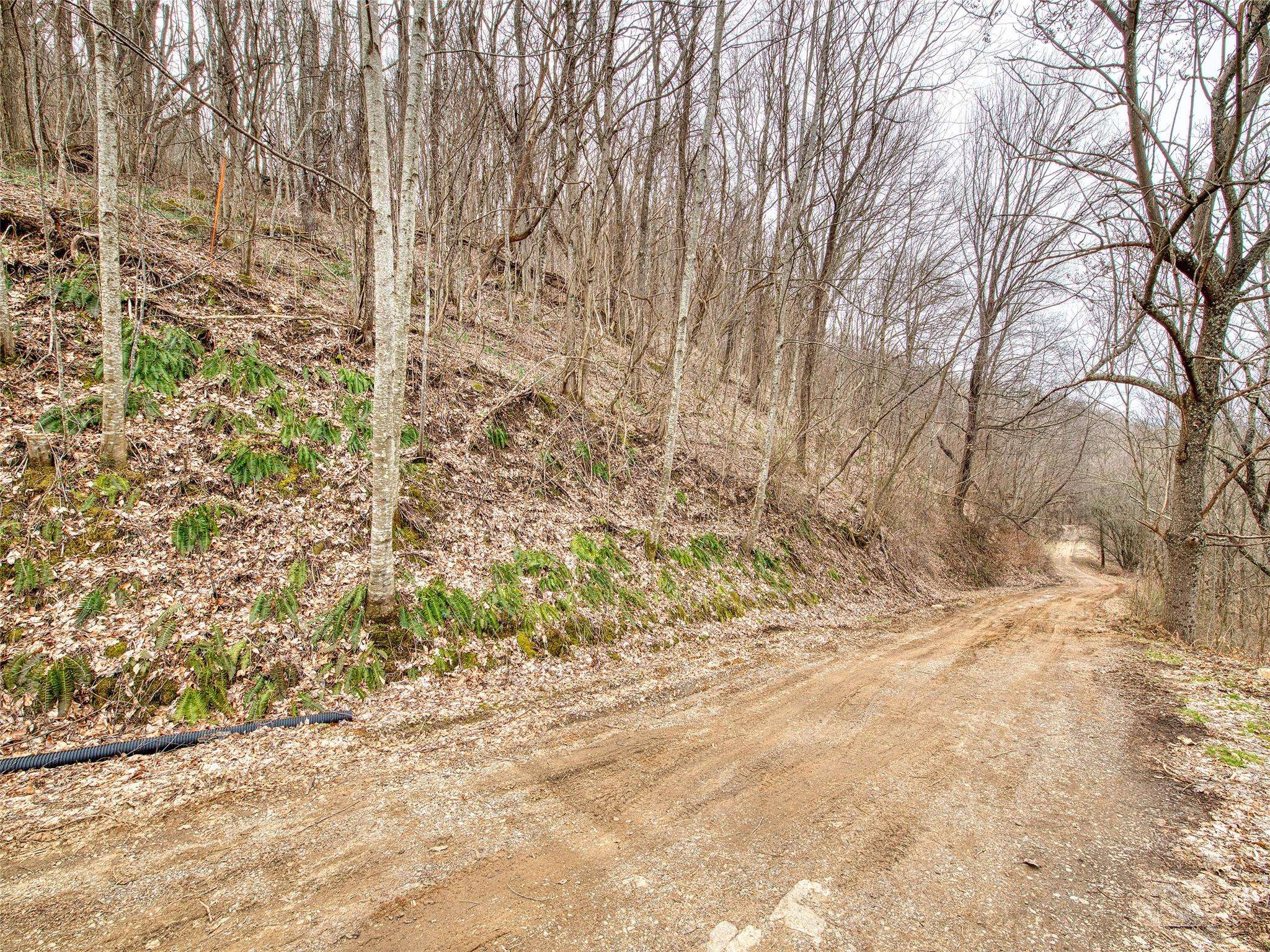 Waynesville, NC 28786,Lot 12 Lothlorian RD